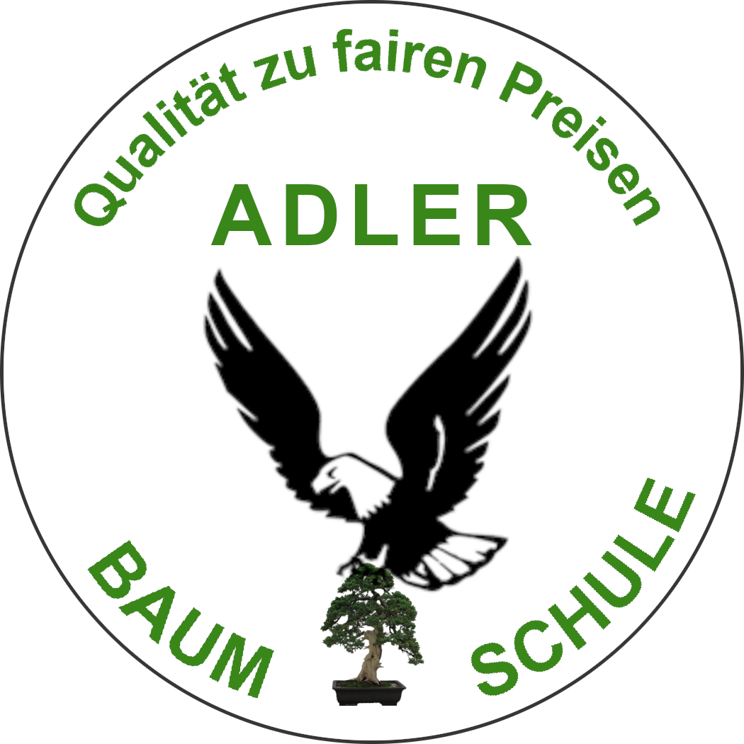 (c) Baumschule-adler.de